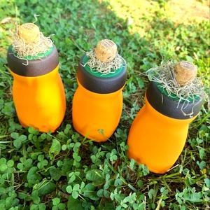 (3) coffee Pumpkin jars